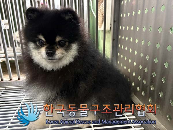 한국동물구조관리협회_411307202400635